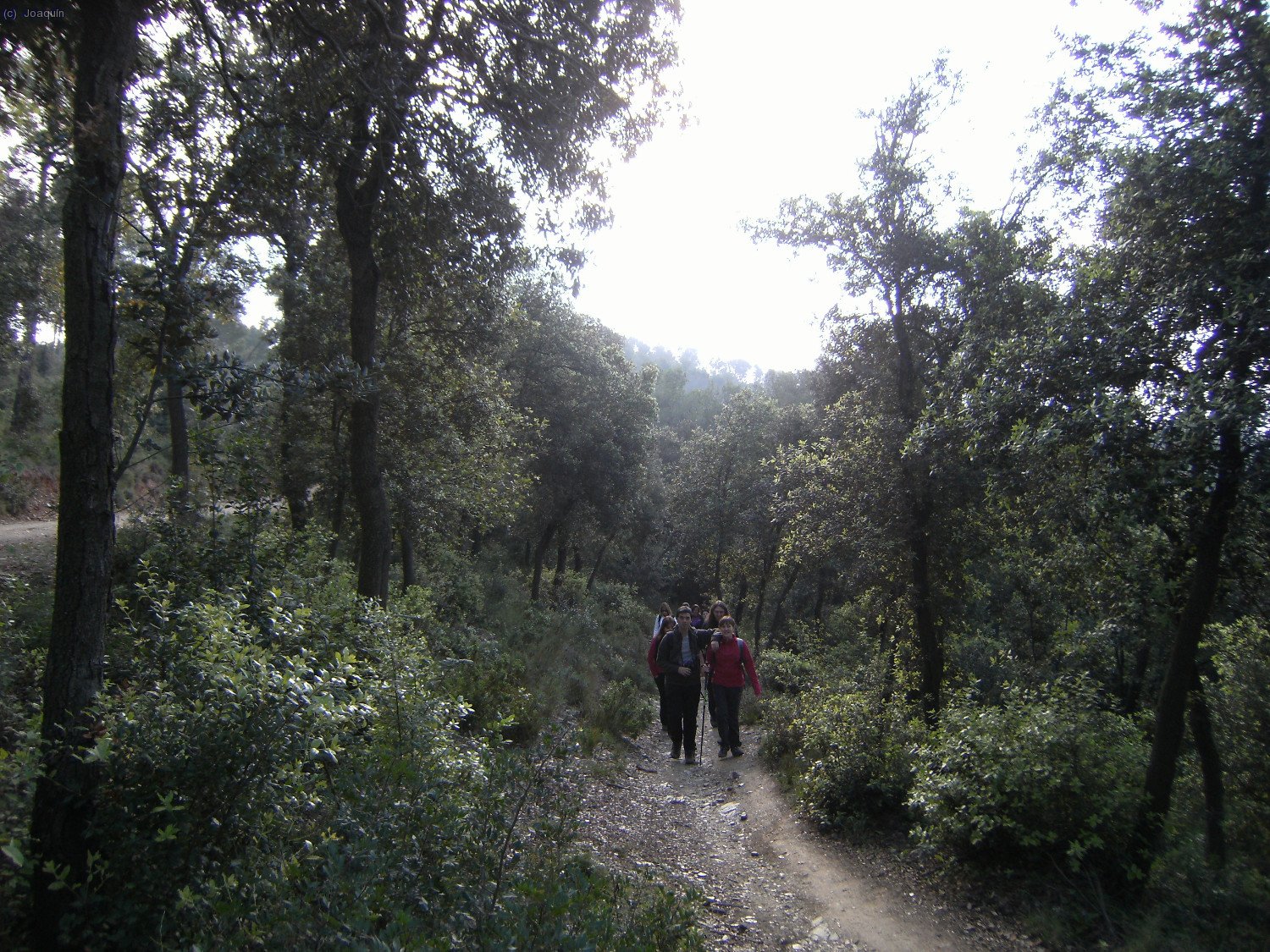 Llegando al Coll d’en Faura
