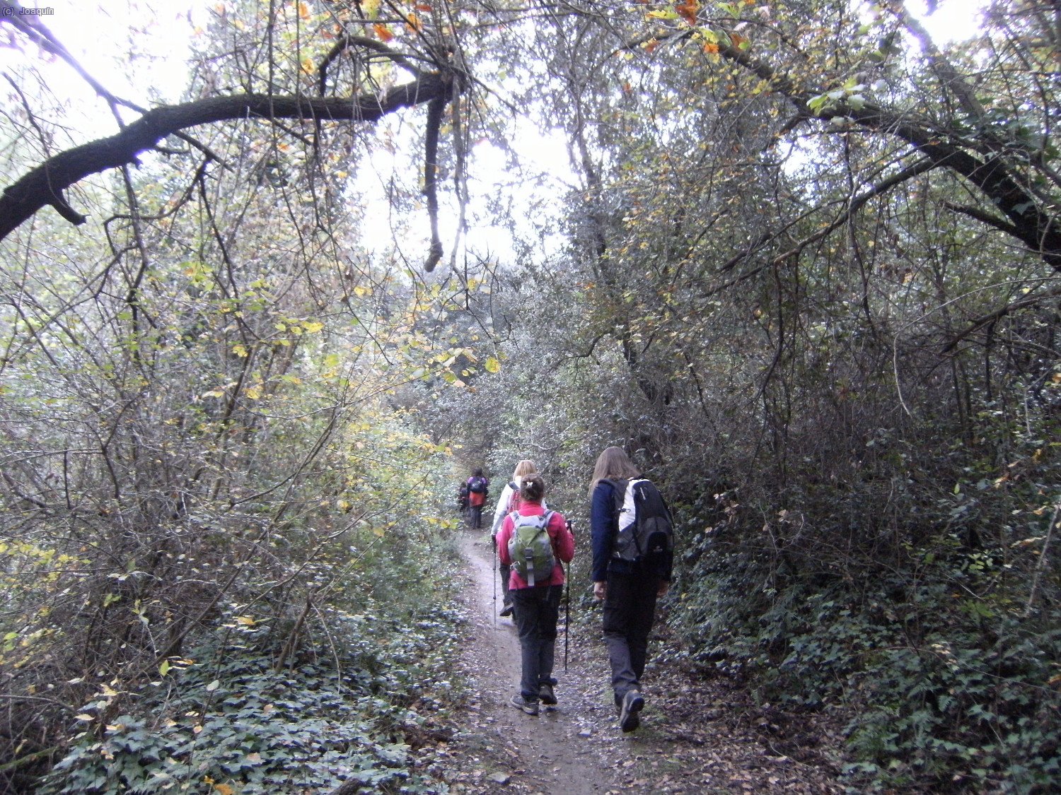 Entre los Torrents de La Font del Pedr&oacute; y el Torrent de La Mina
