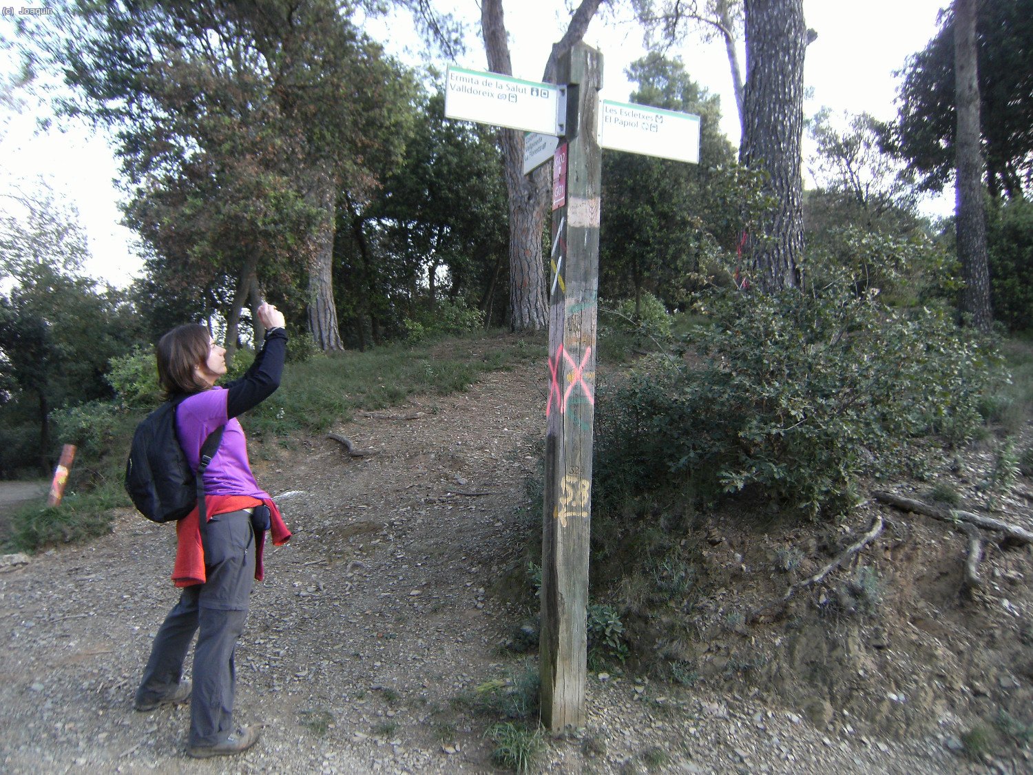 Nuri en el Coll d’en Faura