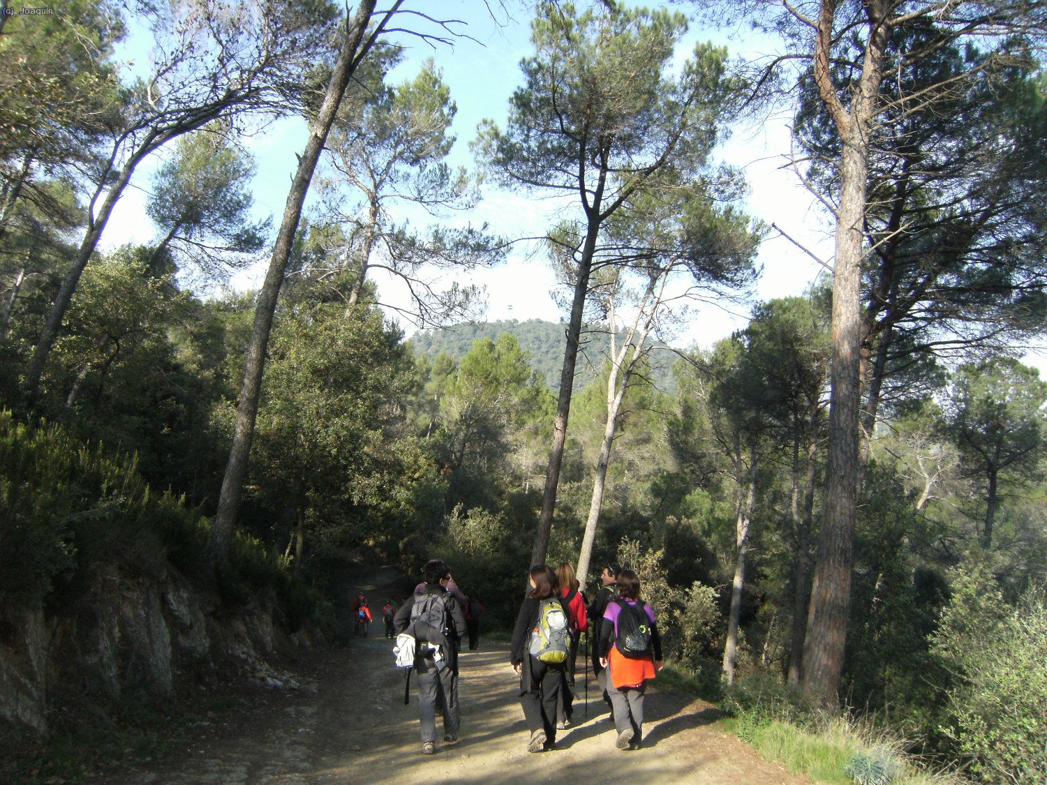 Al fondo entre los pinos el Puig Madrona