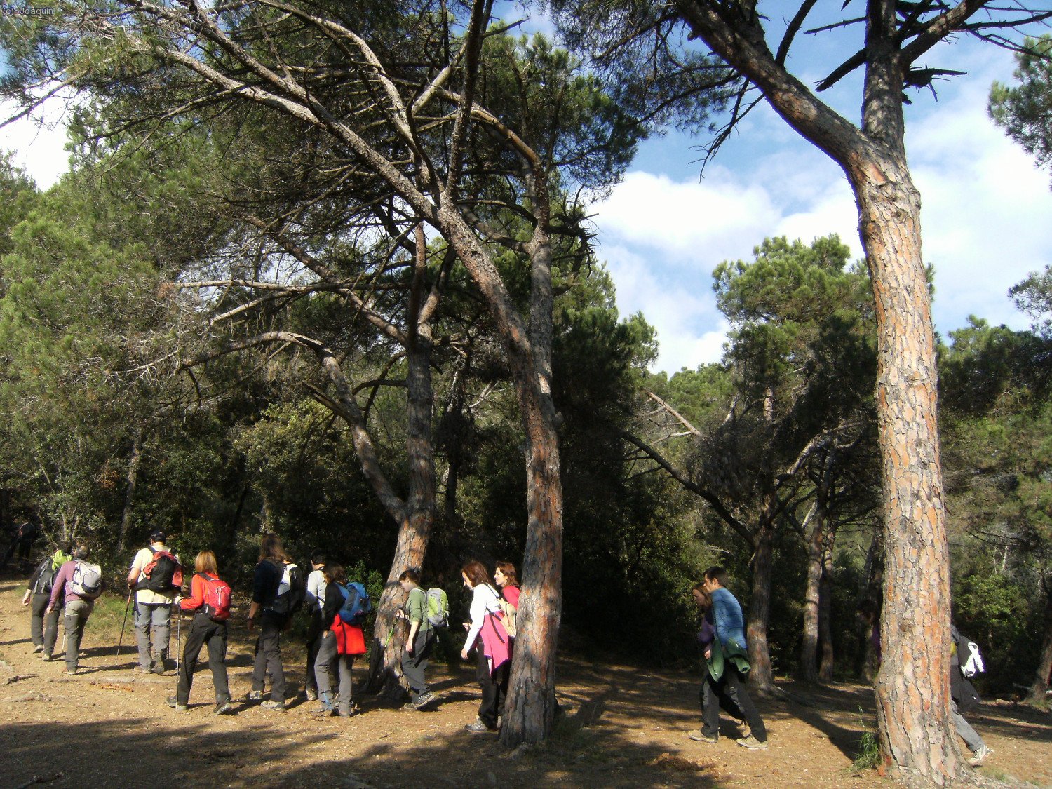 Comienza la subida al Puig Madrona