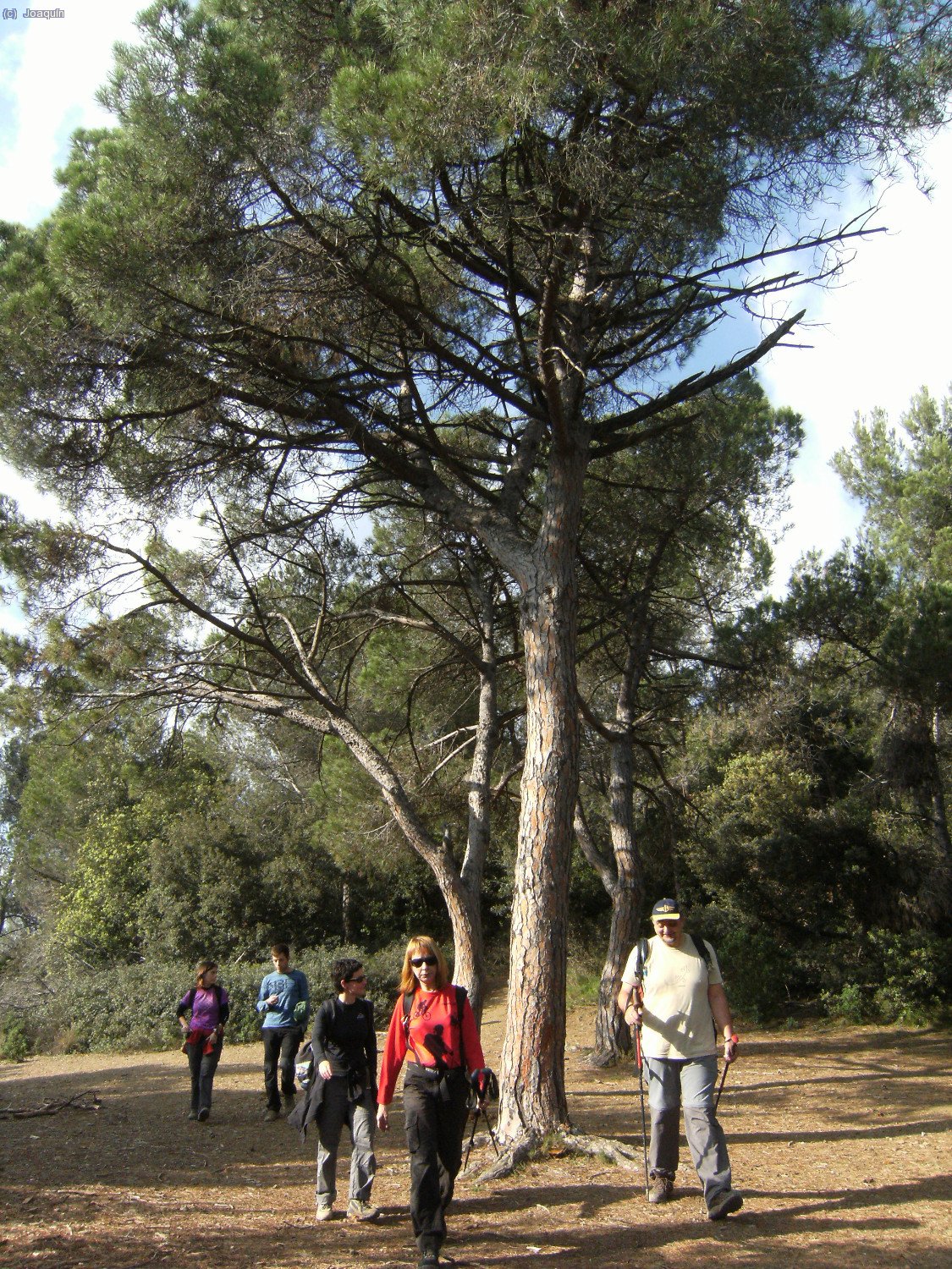 Llegando a la Ermita de La Salut. Delante Anna y Francesc. 