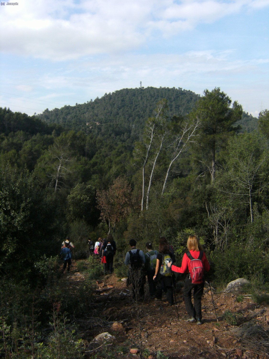 Por aqui no se puede seguir... al fondo el Puig Madrona