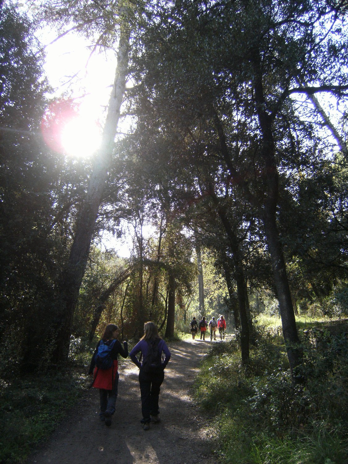 Camino de Can Planes