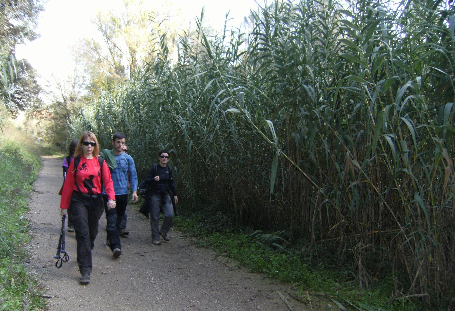 Riera de la Rierada o de Vallvidrera abajo. Delante Anna.