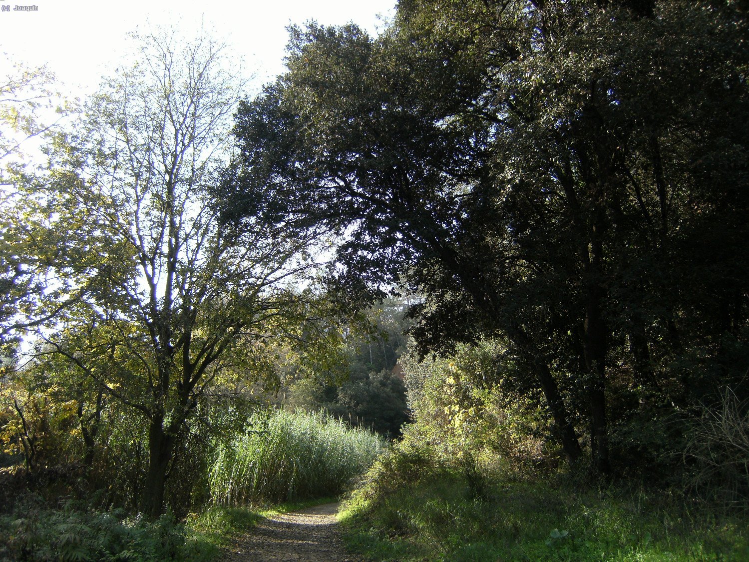 Salimos de la Rierada en direcci&oacute;n a Can Rabella