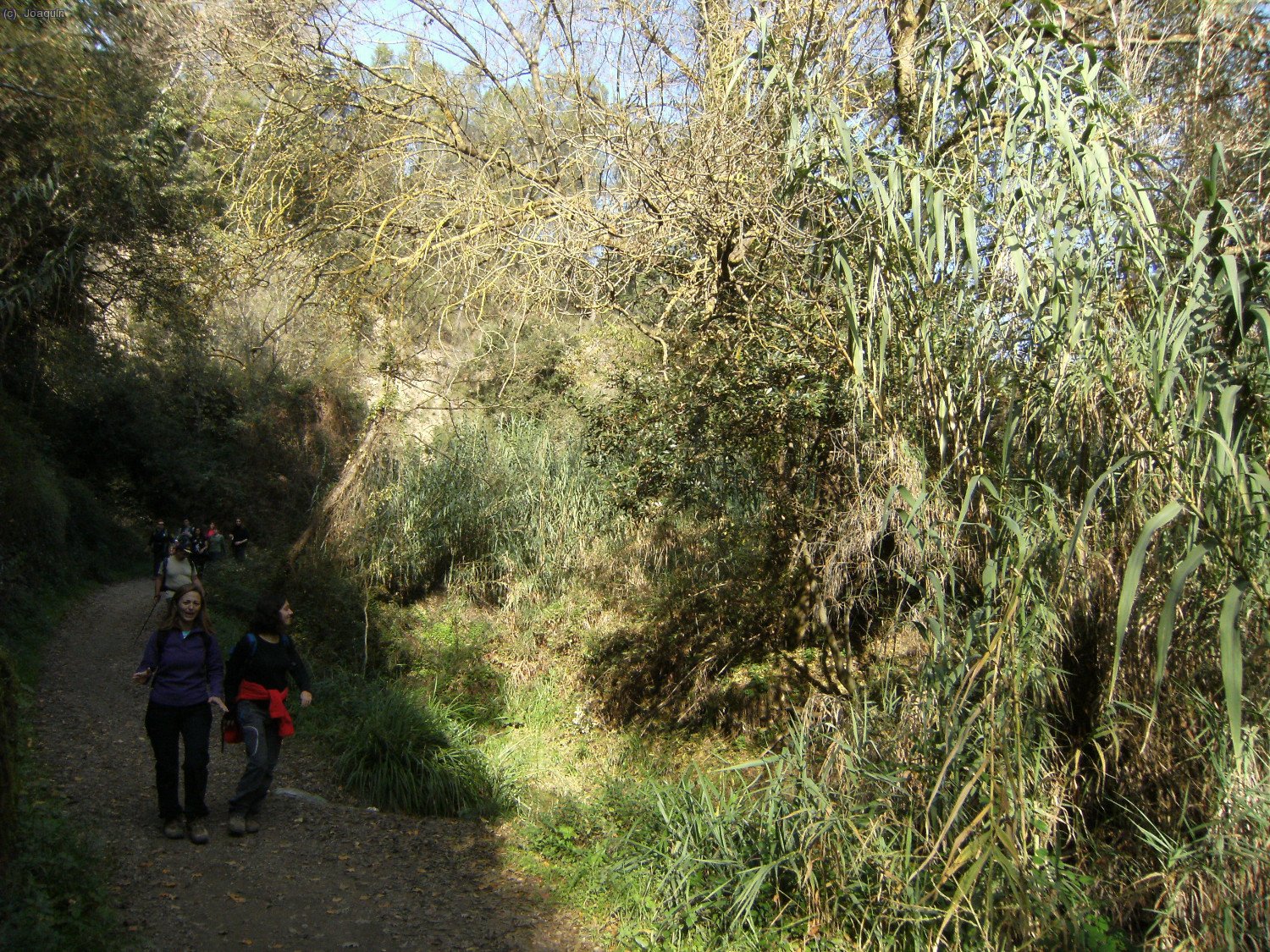 Riera de la Rierada o de Vallvidrera abajo. Delante Xenia y Ana.