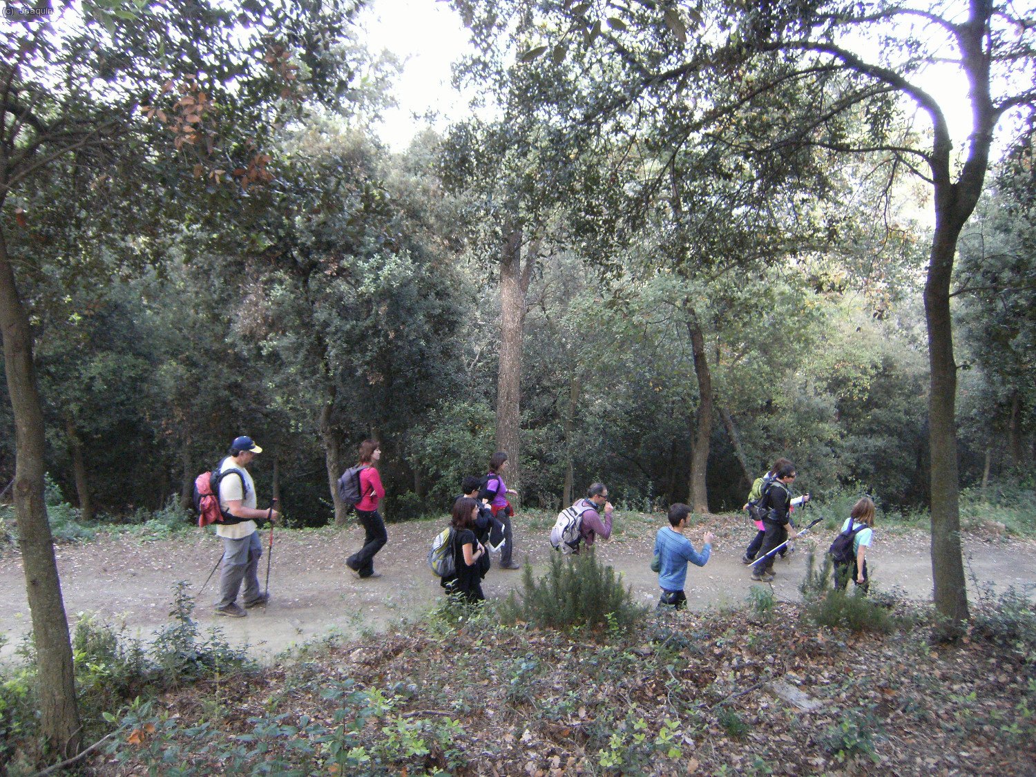 Seguimos hac&iacute;a las cercan&iacute;as del Tur&oacute; de La Pineda