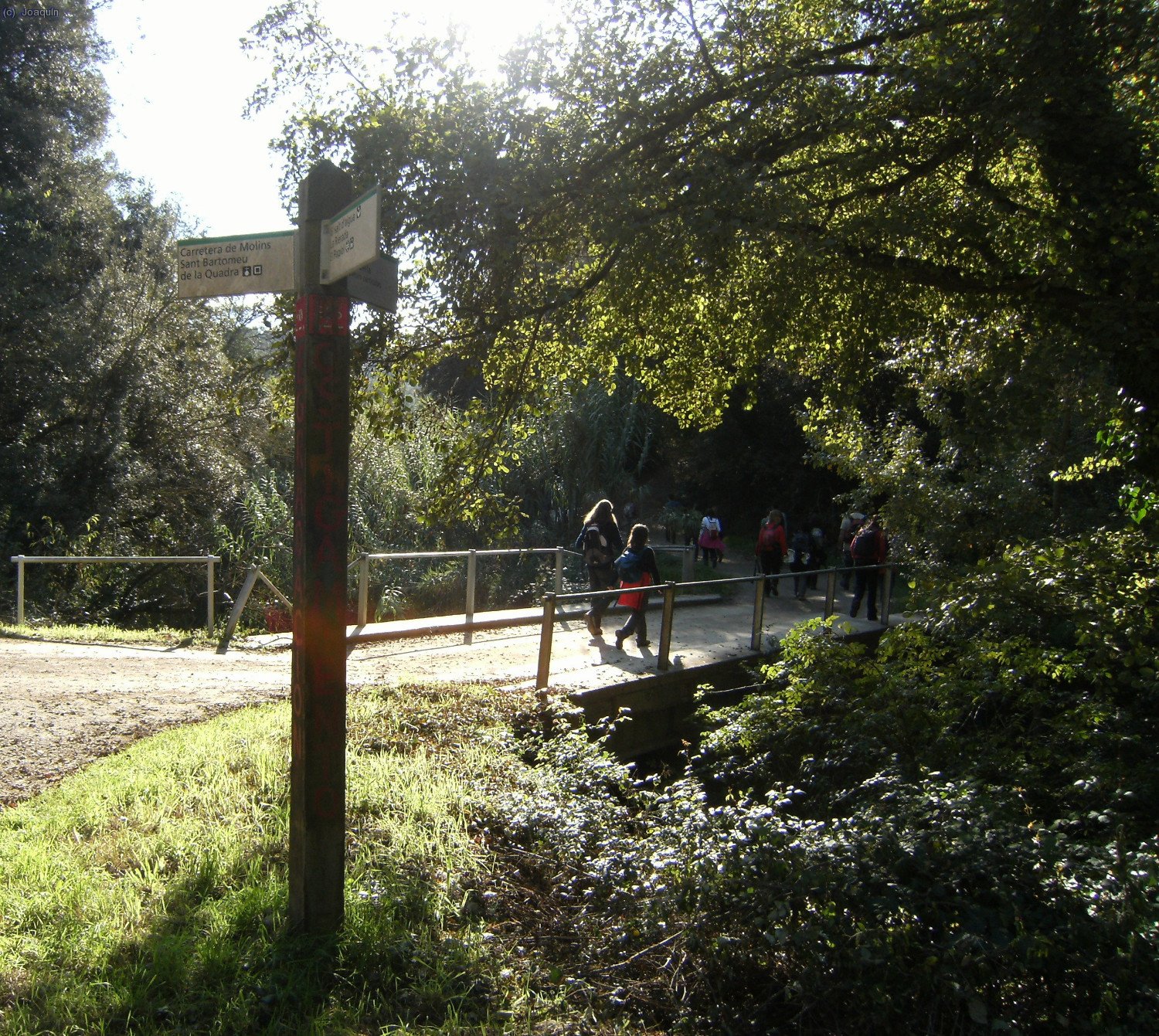 Puente cerca de Can Rabella
