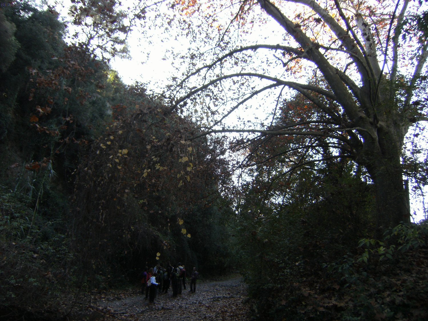 Llegando a Can Rabella