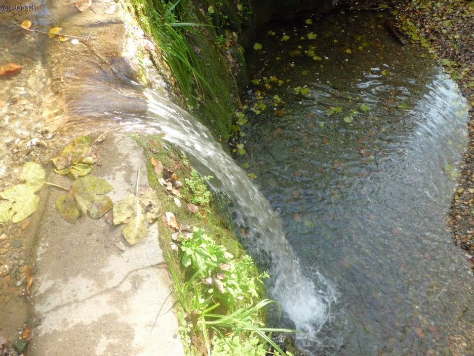 El Salt en la Riera de La Rierada o de Vallvidrera (Foto: Juan)