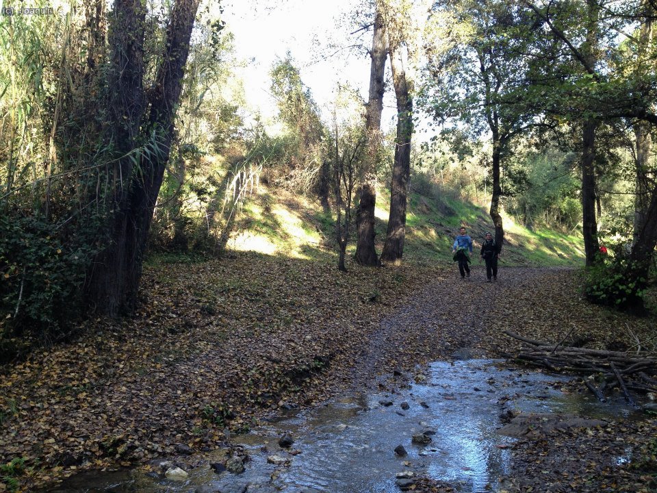 Cruzando la Riera de la Rierada o de Vallvidrera (Foto: Laura)