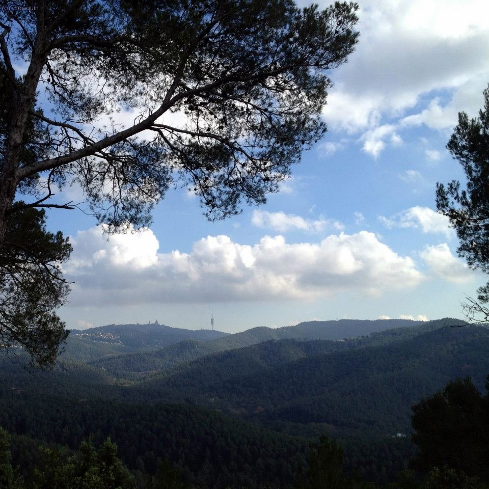 Al fondo la cima de Collserola: el Tibidabo y la torre de telecomunicaciones (Foto: Laura)