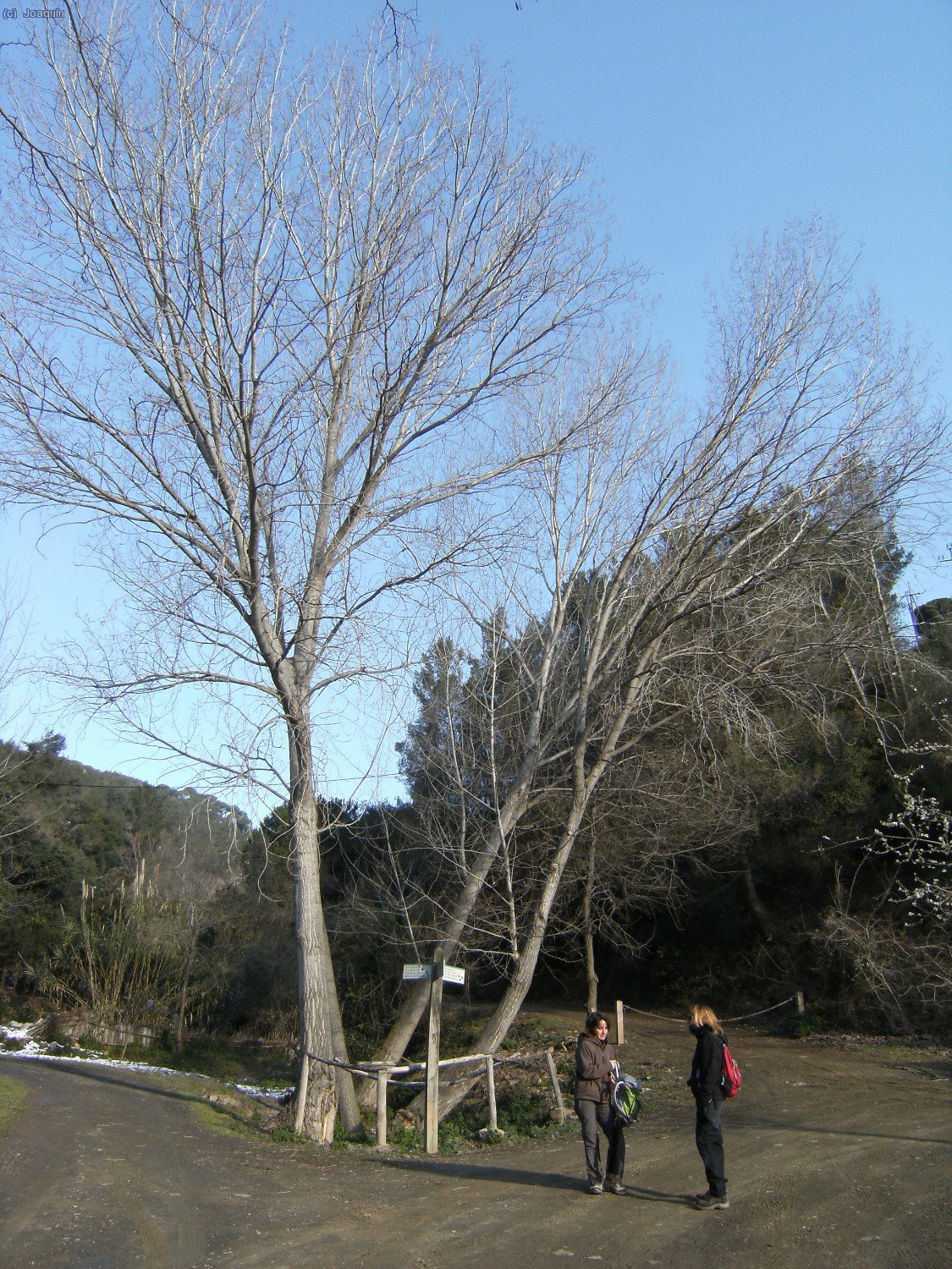 Raquel y Anna esperando en el cruce