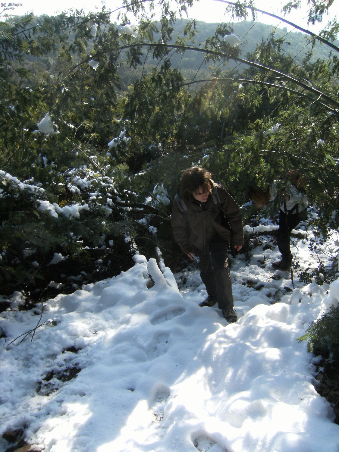 Nieve m&aacute;s arriba de la Font de La Meca