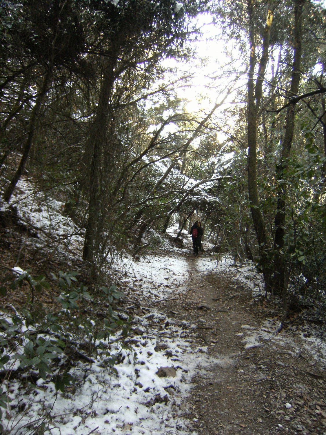 Sendas y G.R.s en la nevada bajada del Tur&oacute; de La Magarola