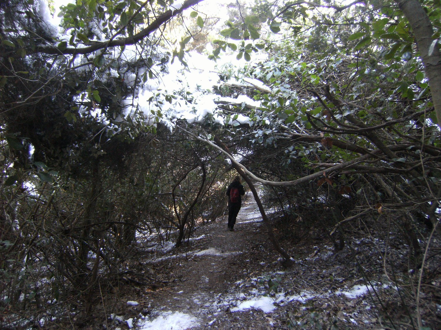 Sendas y G.R.s en la nevada bajada del Tur&oacute; de La Magarola