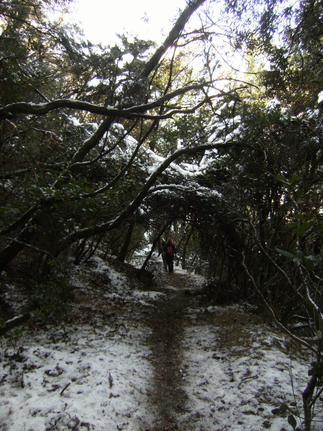 Sendas y G.R.s en la nevada bajada del Tur&oacute; de La Magarola