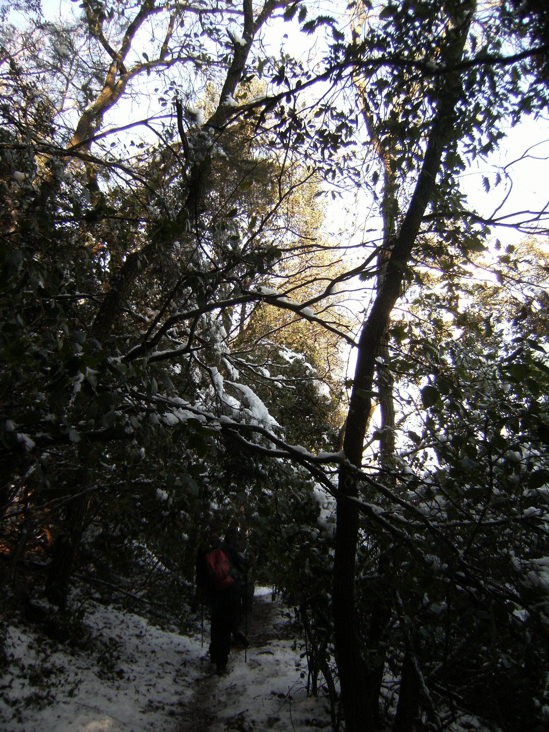 Sendas y G.R.s en la nevada bajada del Tur&oacute; de La Magarola