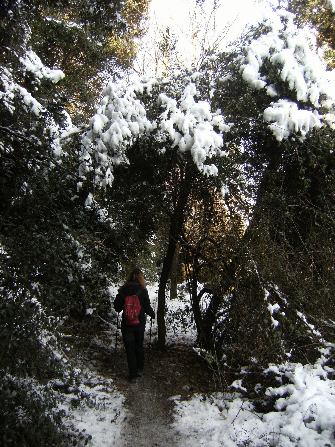 Sendas y G.R.s en la nevada bajada del Tur&oacute; de La Magarola