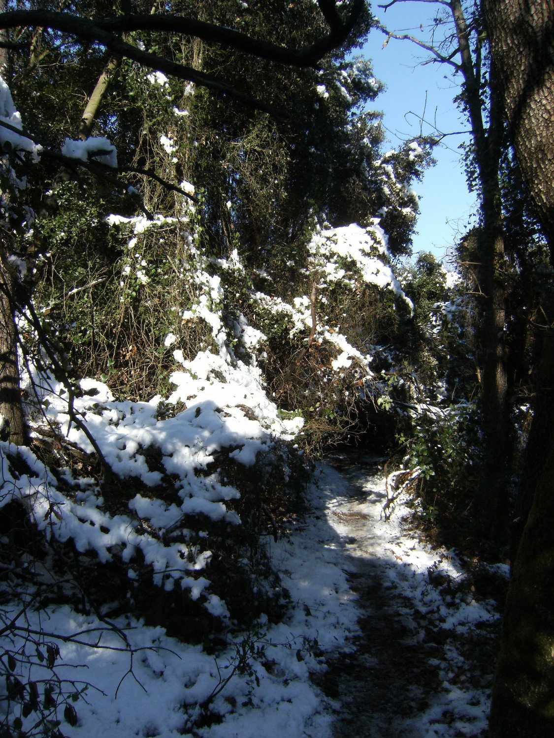Sendas y G.R.s en la nevada bajada del Tur&oacute; de La Magarola