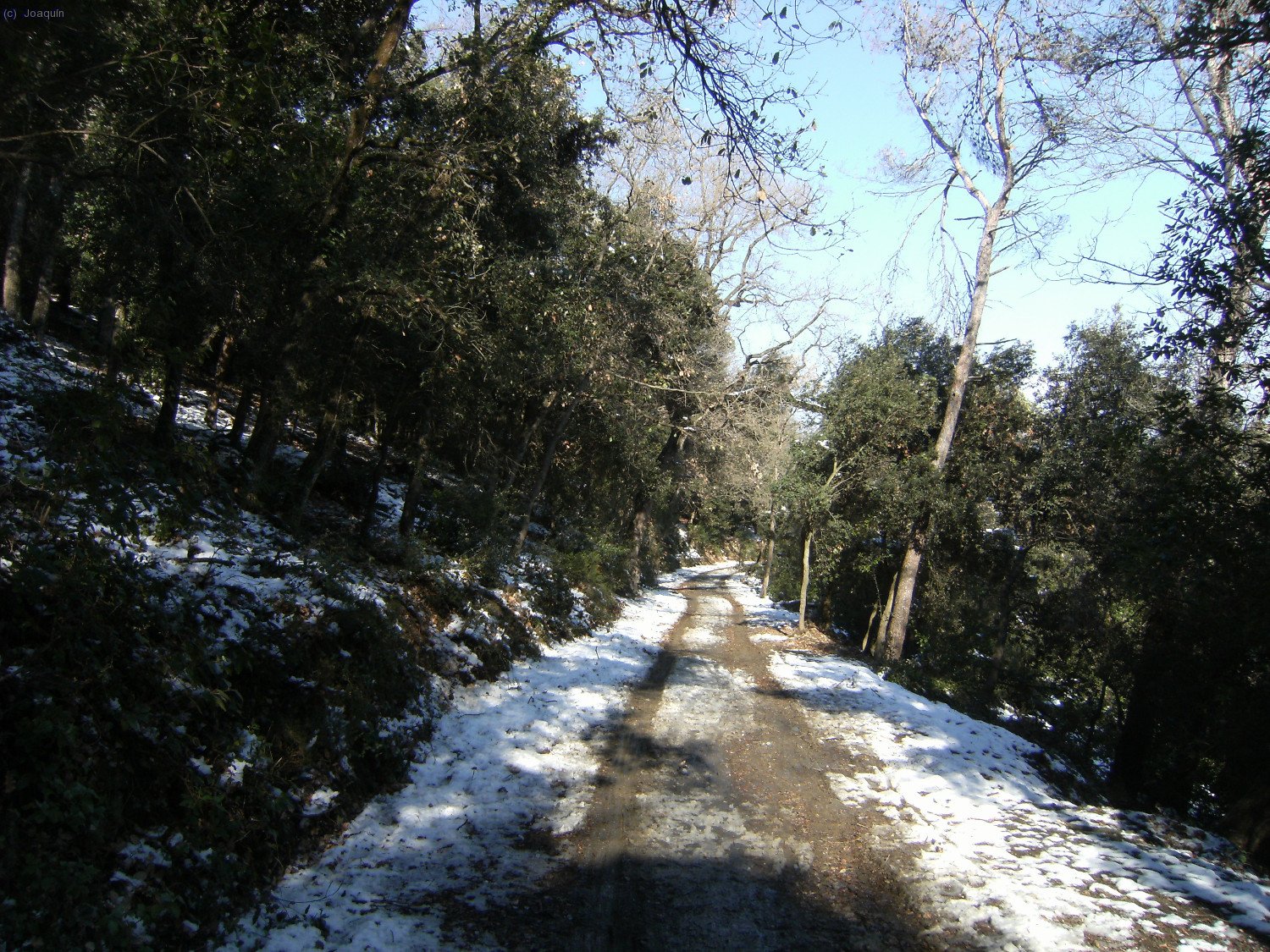 Camino de la Font del Ca&ccedil;adors