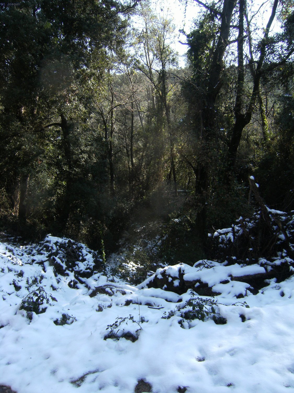 Nieve junto al camino de la Font del Ca&ccedil;adors