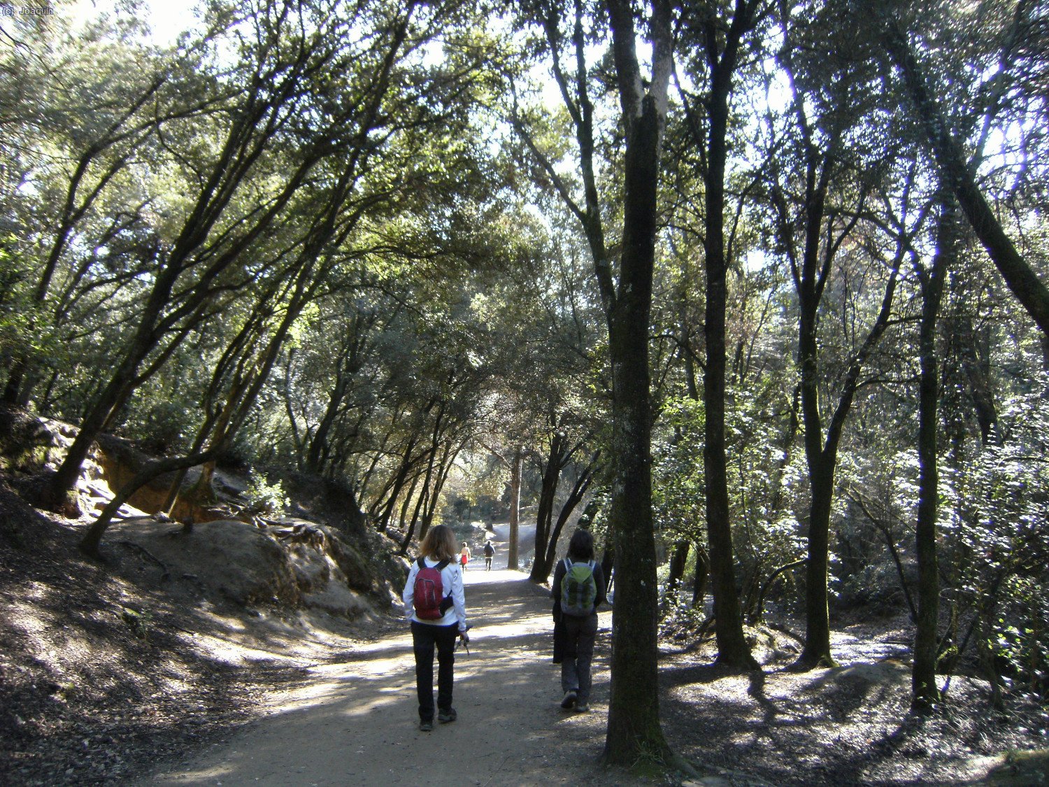 Camino de Can Codina por el G.R.-173