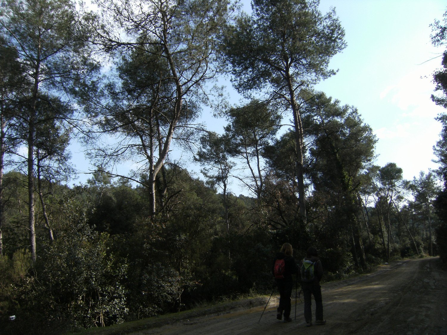 Camino de Can LLoses por el G.R.-92