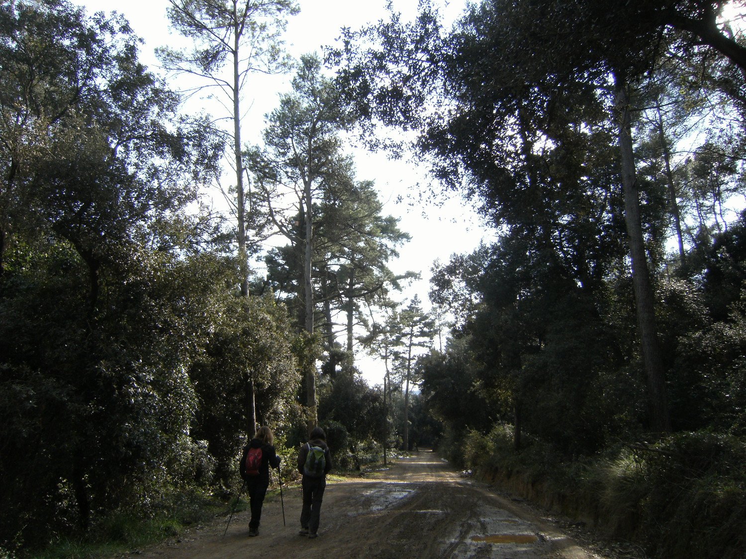 Camino de Can LLoses por el G.R.-92