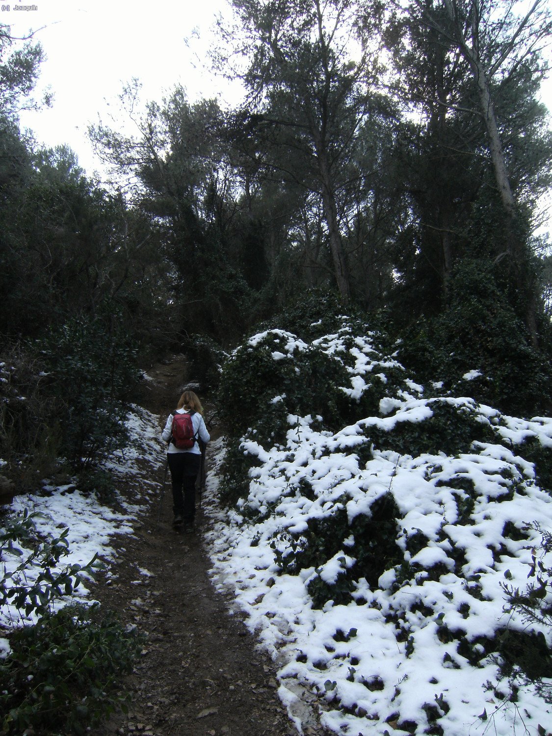 Subiendo al Tur&oacute; d