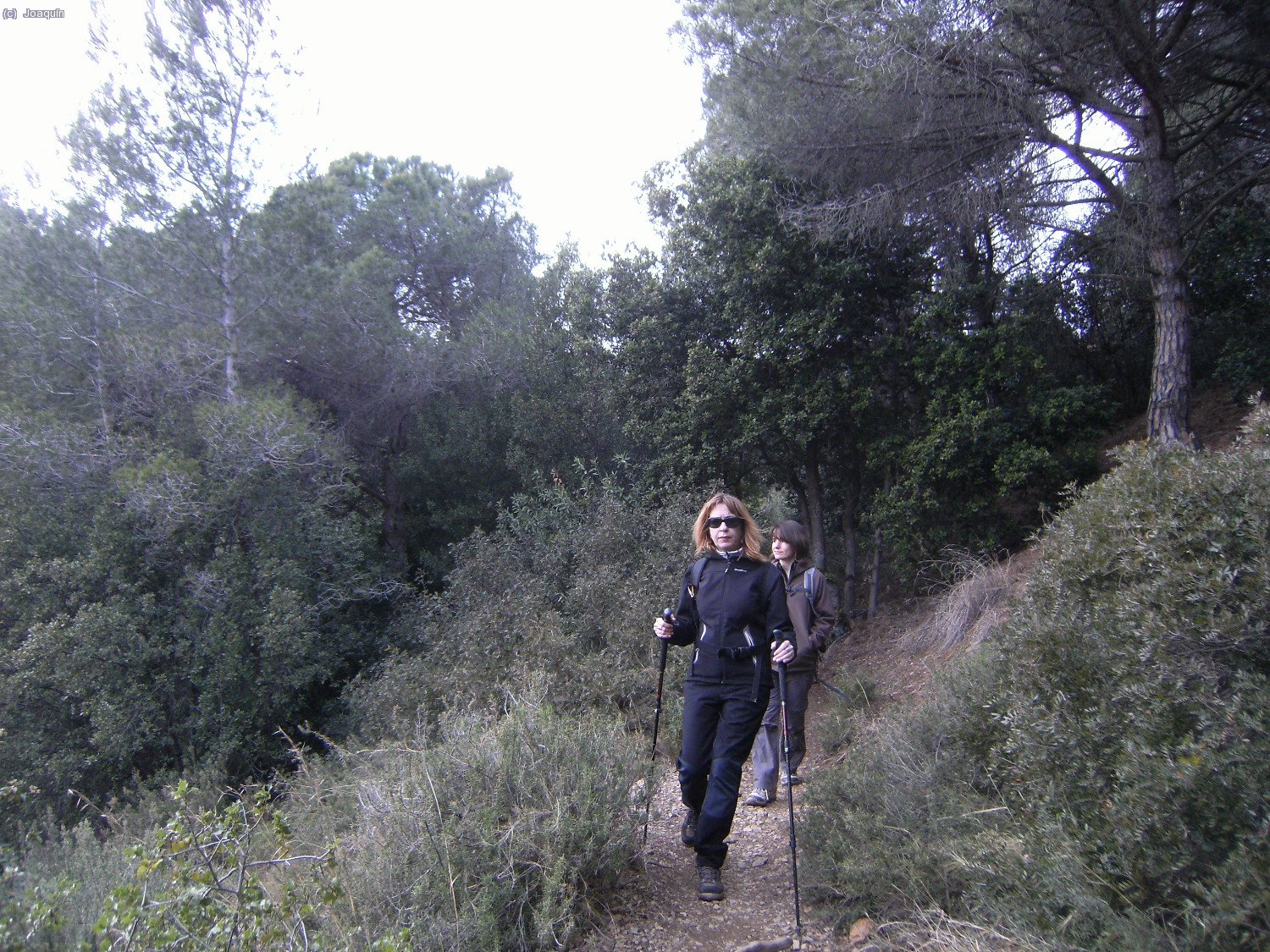 Bajando del Castell Fort&iacute;
