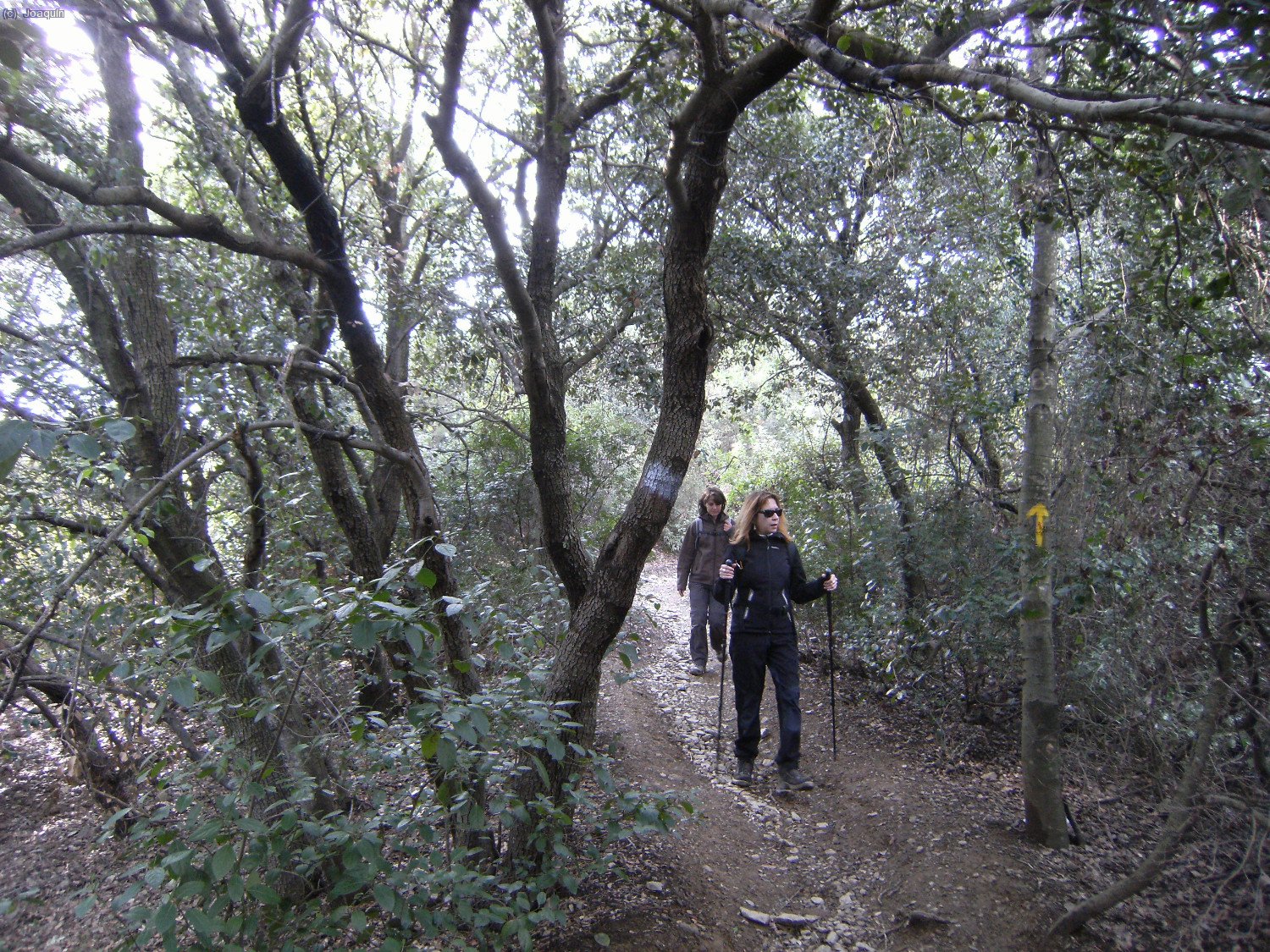 Senda hac&iacute;a el Castell Fort&iacute;