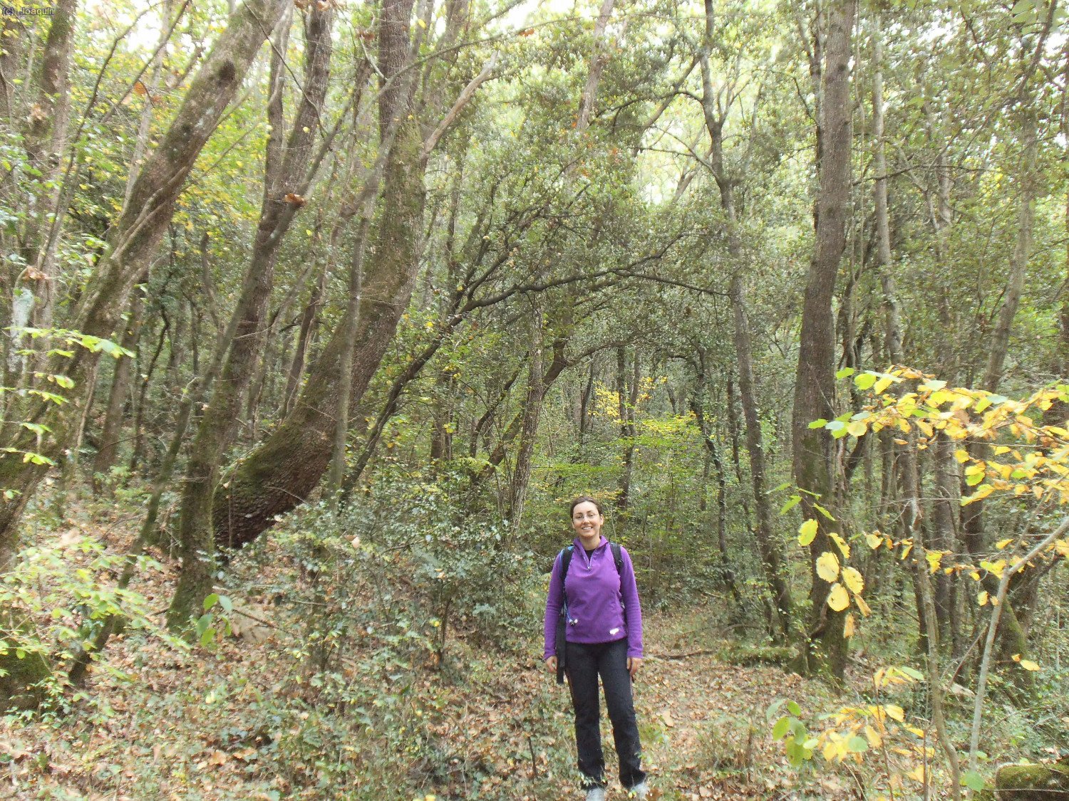 Patricia camino de la Riera de Santal&oacute;