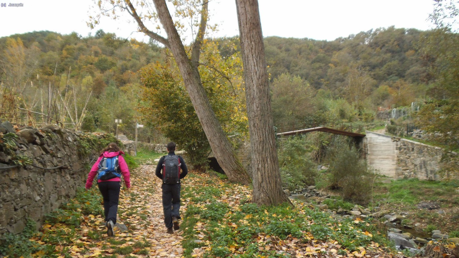 Acerc&aacute;ndonos al puente que a la derecha nos lleva a Castellfollit de La Roca y a la izquierda (sin cruzarlo) hac&iacute;a nuestro recorrido