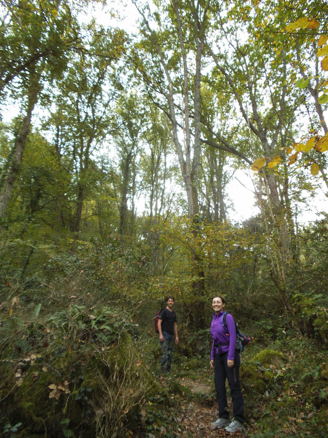Fran y Patricia en el robledal. Boscos de Santal&oacute;