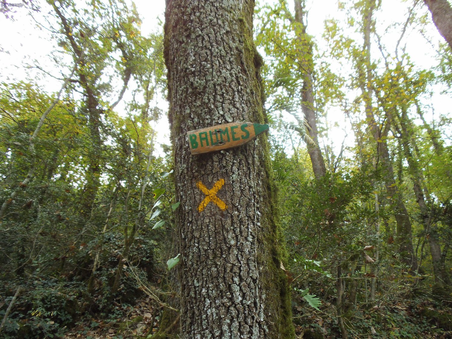 Se&ntilde;alizaci&oacute;n y cruce hac&iacute;a las Baumes d