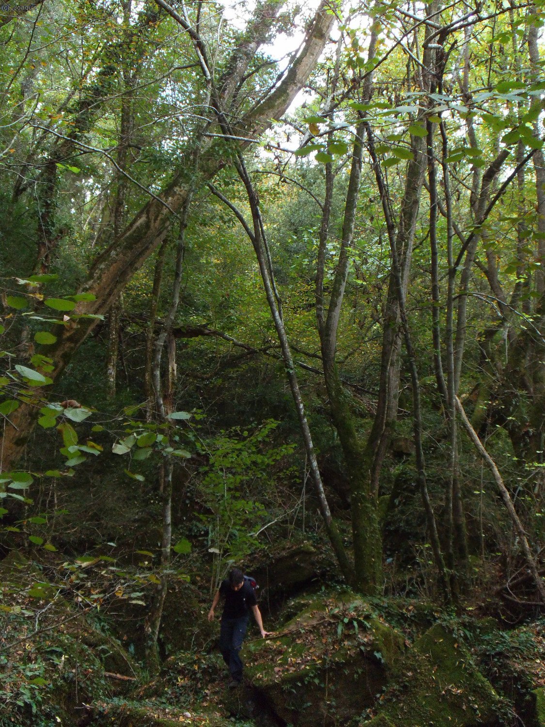 Rincones junto a las paredes