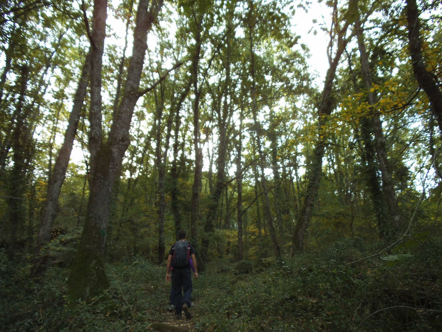 Camino de las Baumes d
