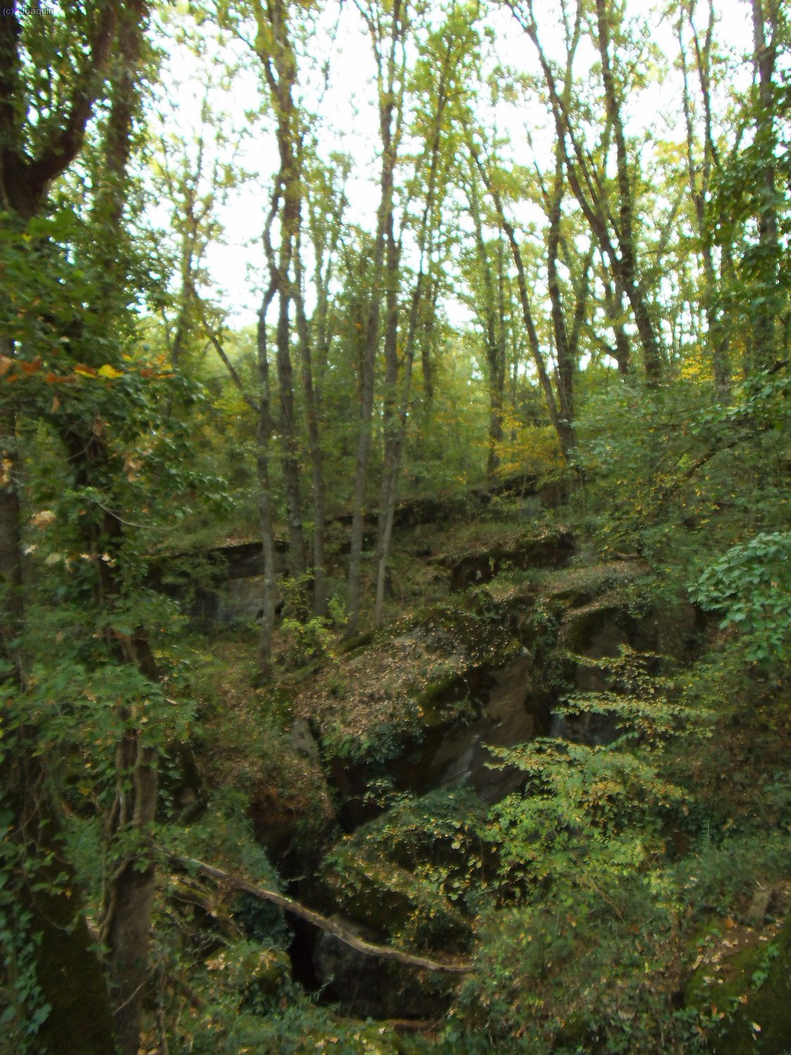 El resquebrajado suelo de las Baumes d