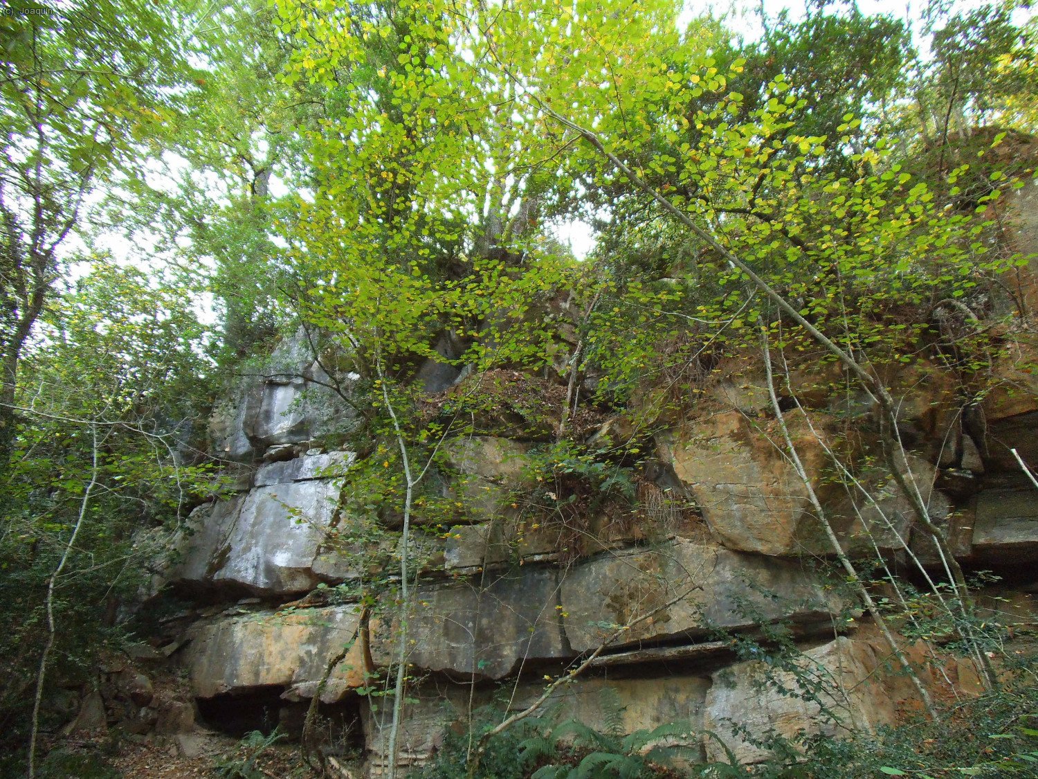 Paredes antes de las Baumes d