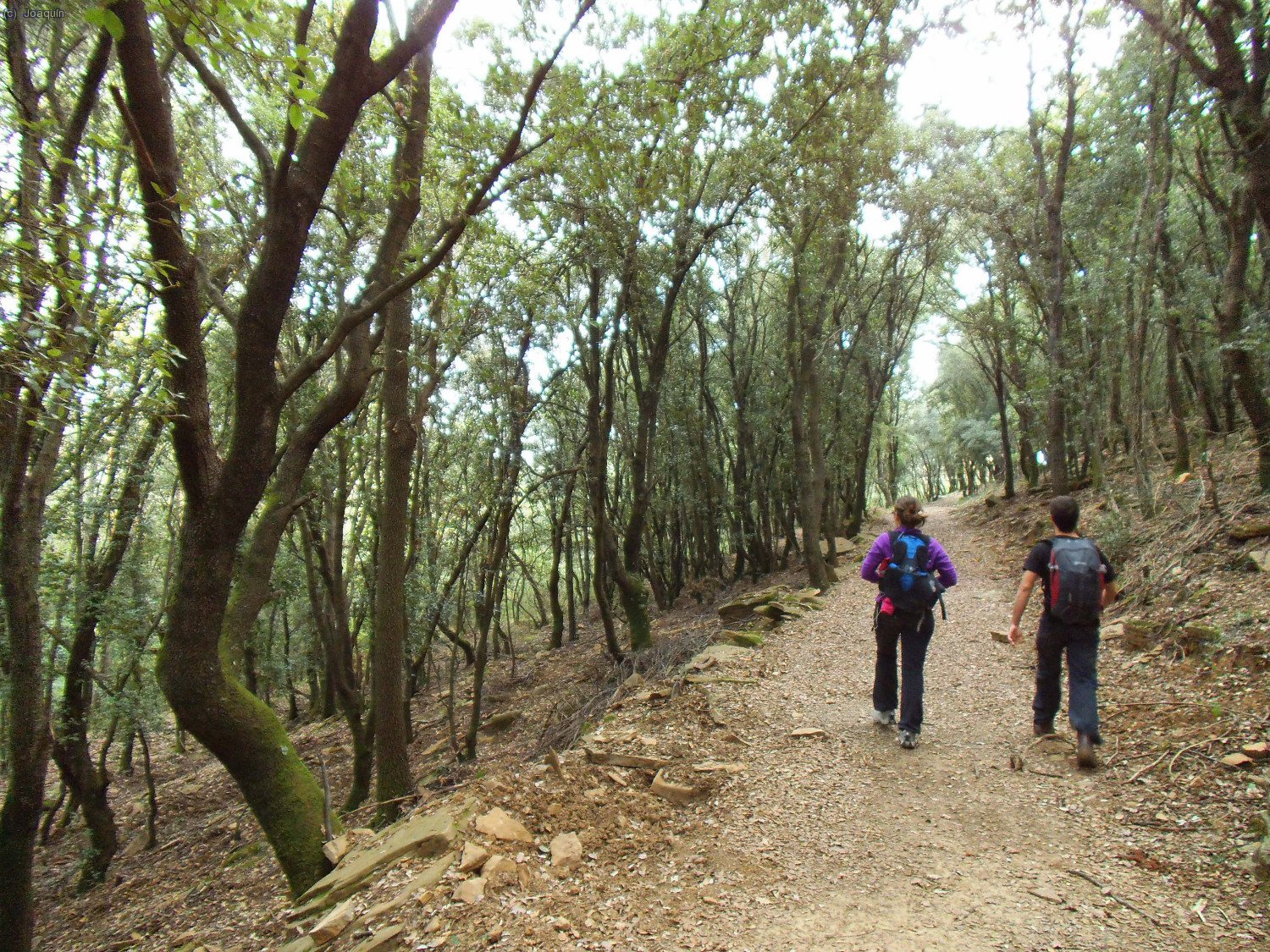 Pista hac&iacute;a La Davesa