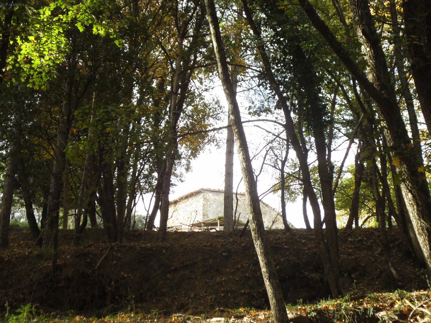 Arriba la contrucci&oacute;n de Santal&oacute;