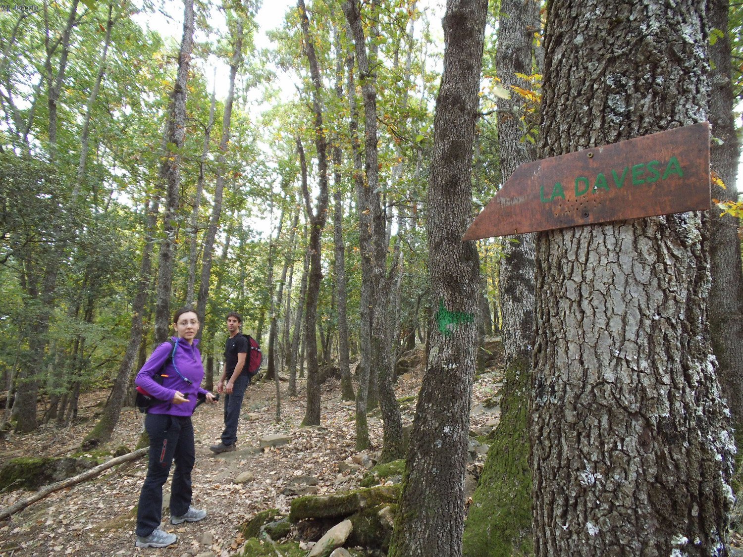 Desvio hac&iacute;a La Devesapara para no meternos en la casa de Santal&oacute;