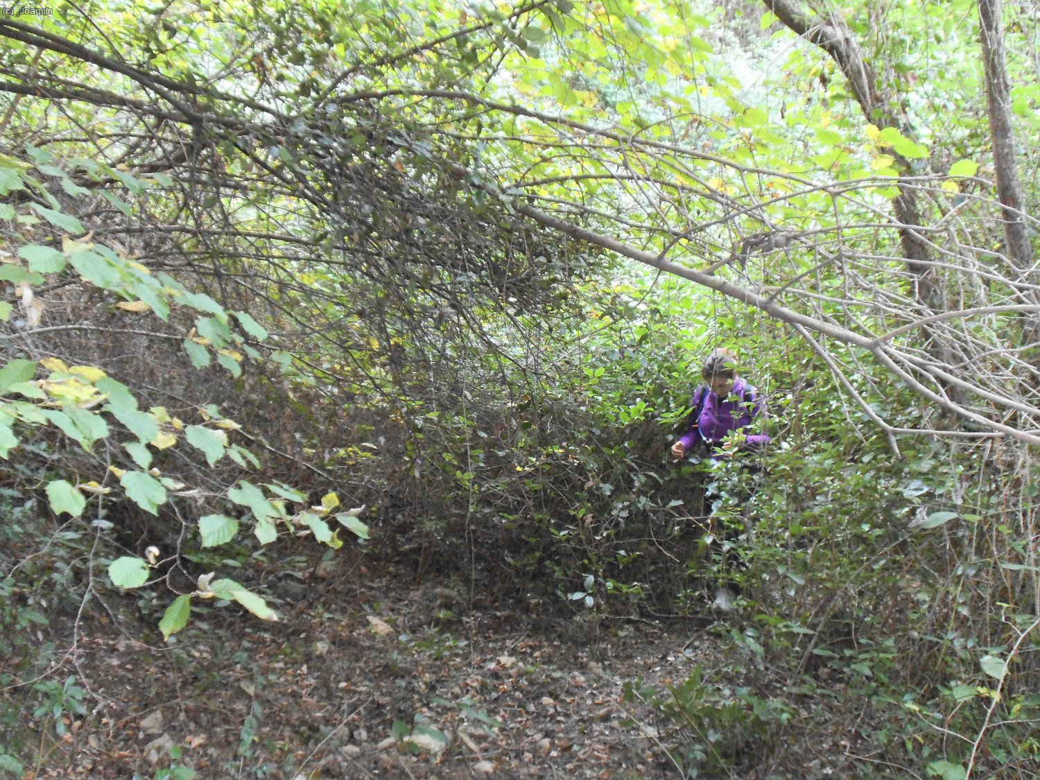 Patricia saliendo de una senda enmara&ntilde;ada y abandonada
