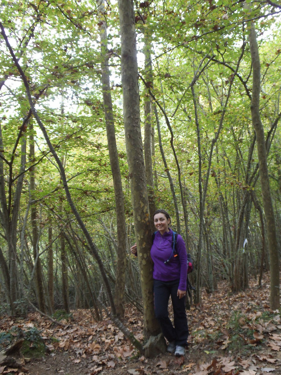 Patricia en un rinc&oacute;n del hermoso hayedo