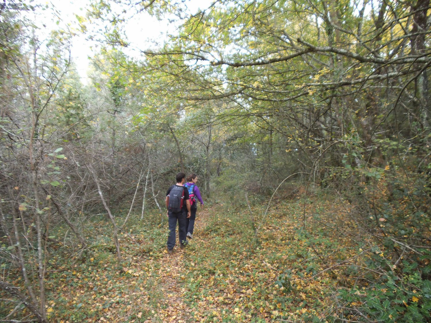 Camino de la Riera de Santal&oacute;