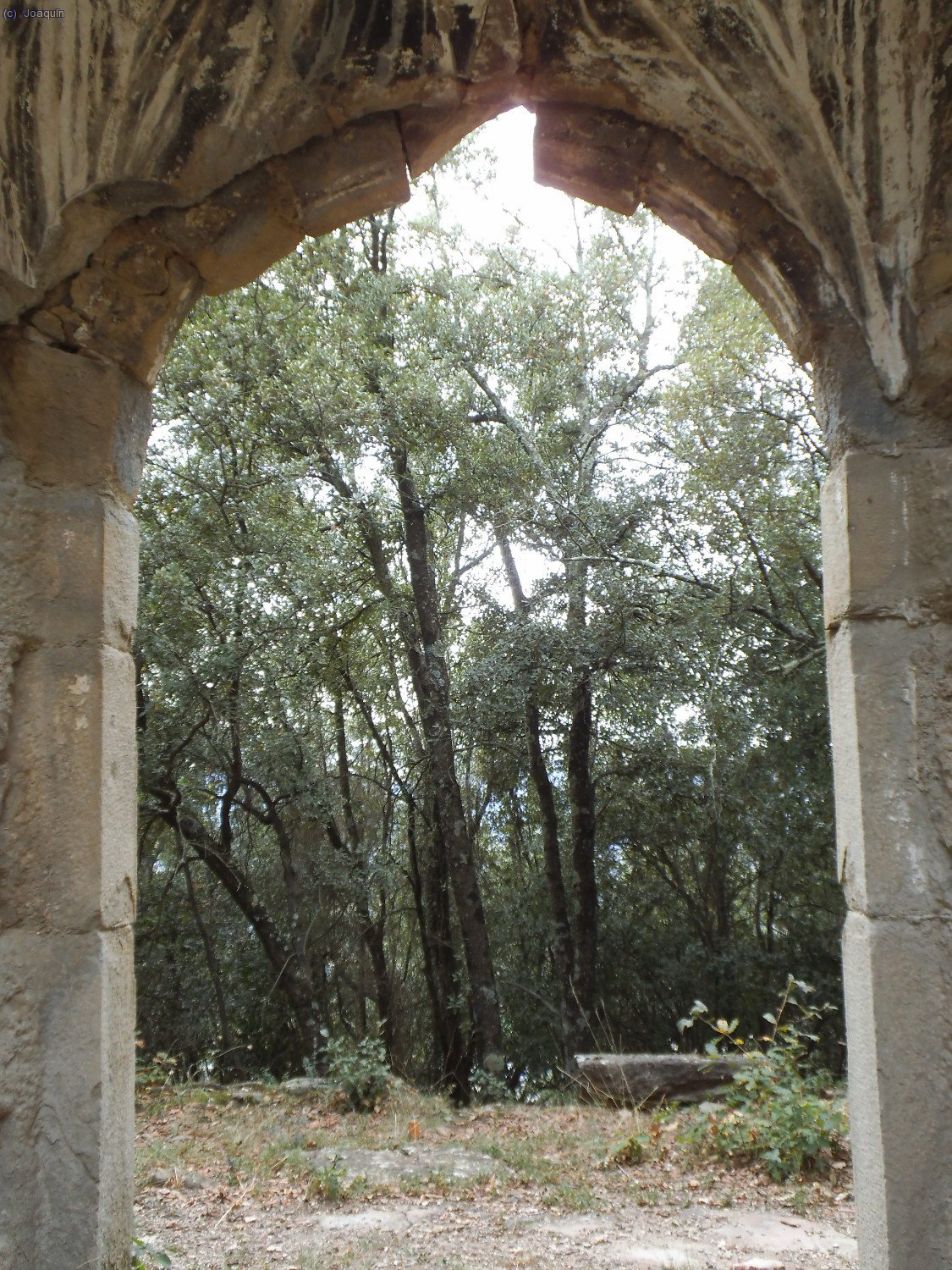 Iglesia de la Mare de D&egrave;u de Mont-ros