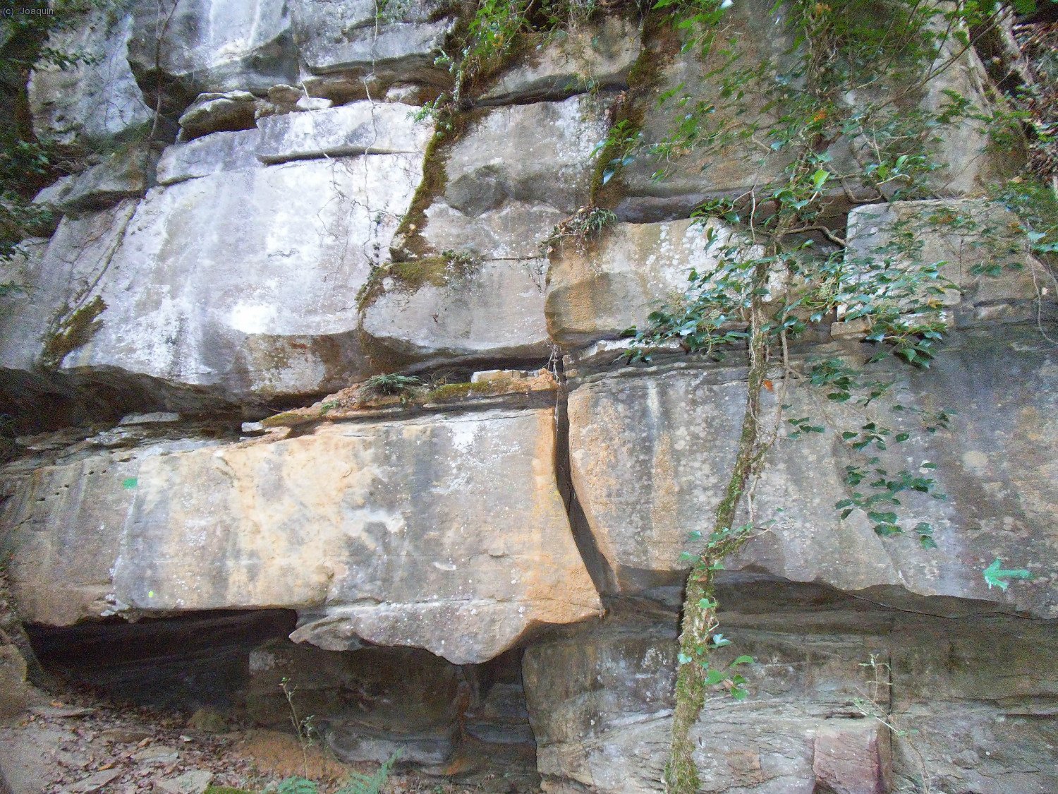 Paredes antes de las Baumes d