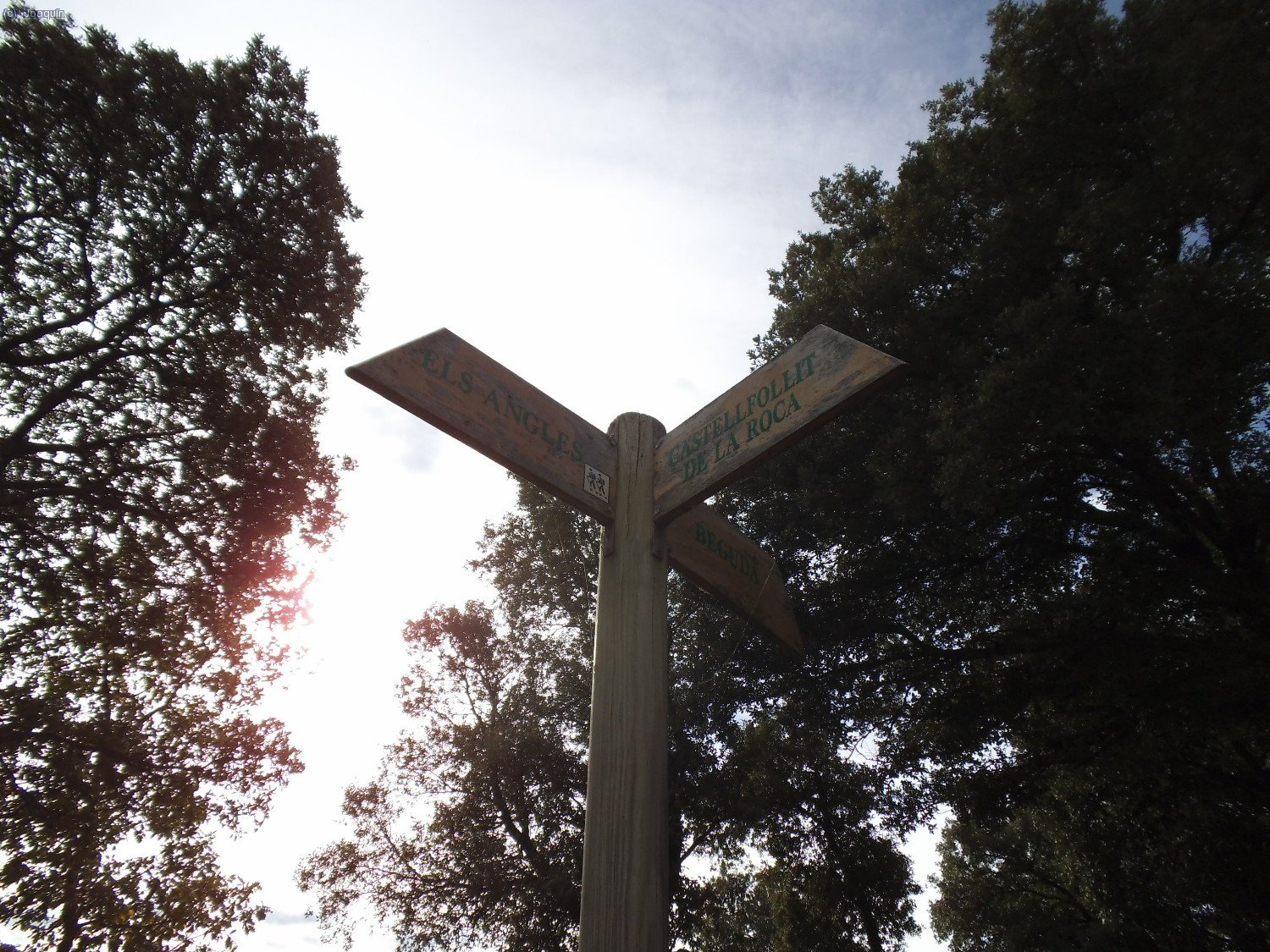 Cartel se&ntilde;alizador